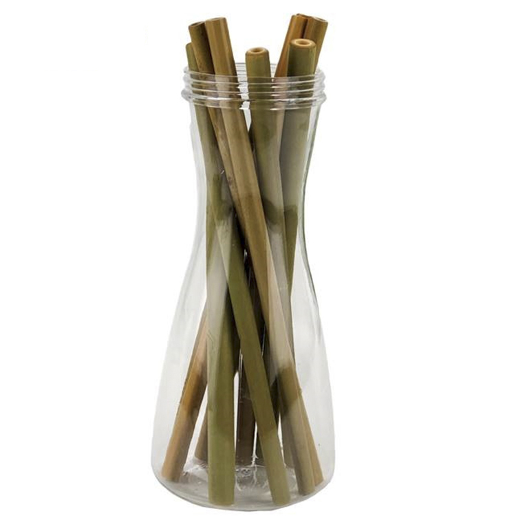 Bamboo Straw