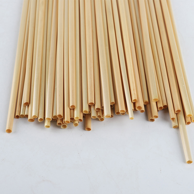 Bamboo Straw