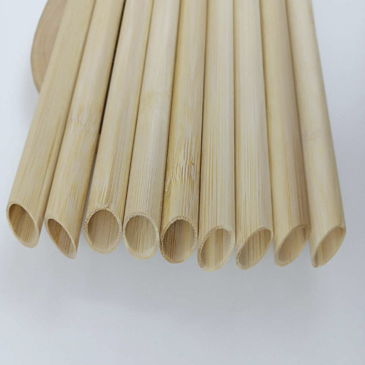 Bamboo Straw