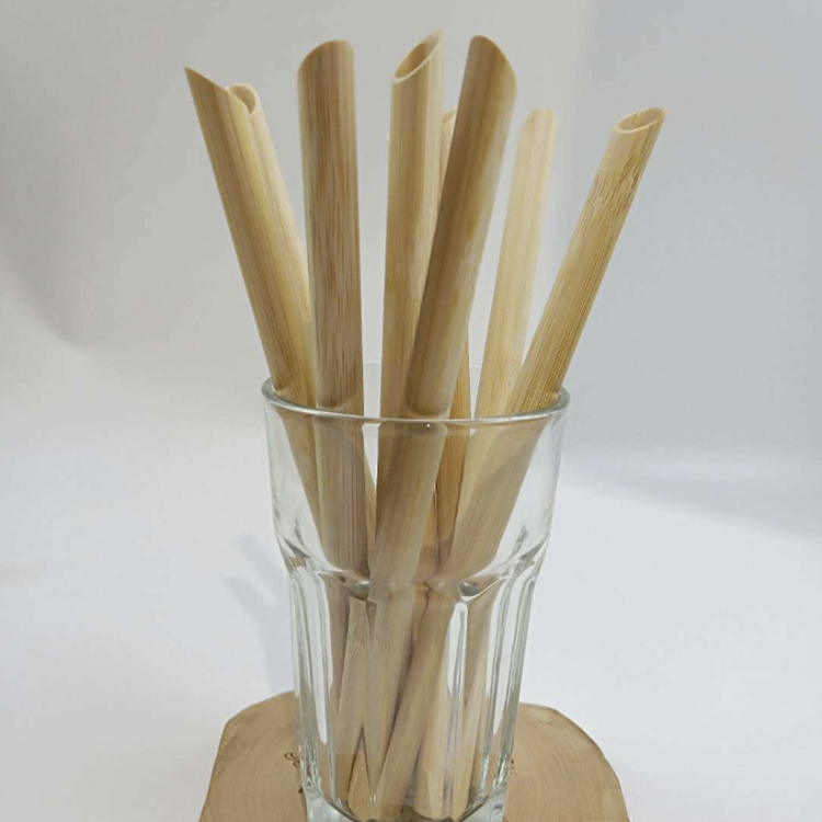 Bamboo Straw