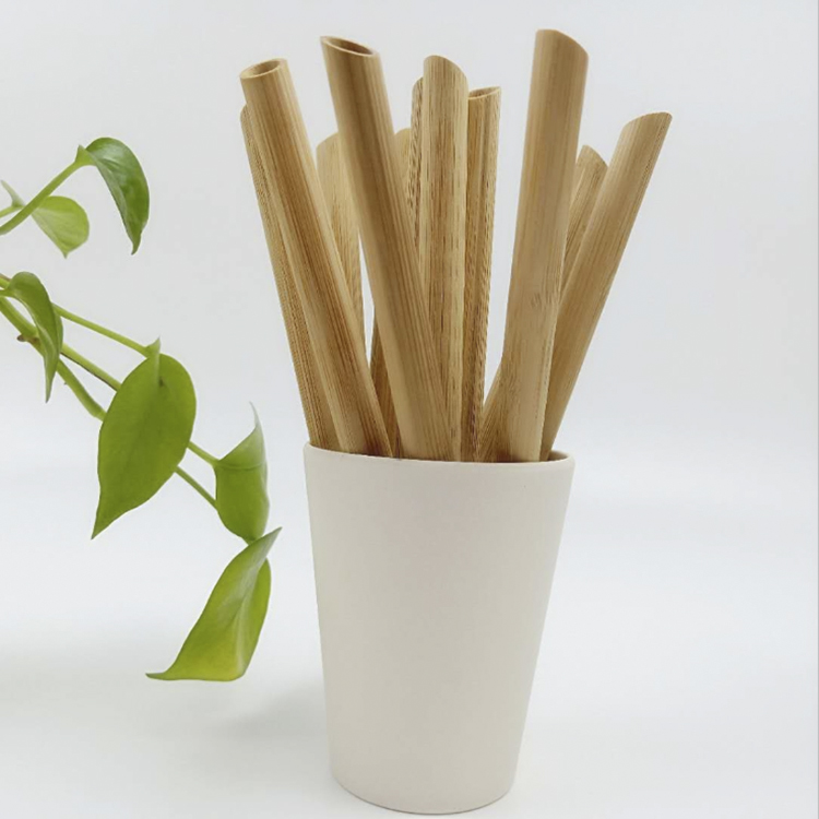 Bamboo Straw